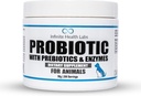 Probiotika för hundar och katter - Vet Formulerad tillverkad i USA Pet Prebiotic & Enzyme Powder för Digestive, Gut & Immune Health - 200 portioner (50 g)