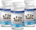 koiran inkontinenssi naaras - koiran URINARY TRACT TUKI - LUONNON RUOKA-LIUOTTO - BLADDER TERVEYS - AMMATILLINEN SUOSITELTU - karpalo hyvinvointi jauhe koirille - 3 pullo (270 hoitoja)