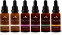 Kasviterapia Organic Tinctures Beginner Set 30 ml Jokainen Luomu Ashwagandha, Aasian Ginseng, Echinacea Blend, Elderberry, Lemon Balm & Turmeric