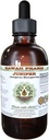 Juniori alkoholiton nesteuute, orgaaninen Juniper (Juniperus Monosperma) Kuivattu Berry Glycerite Havaiji Pharm Natural Herbal Supplement 4 oz