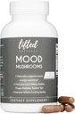 Mielialasienet - Nostetut sienilisät - Leijonan mane, Reishi, Chaga, Turkey Tail, Maitake - Energy, Focus, Stress Relief