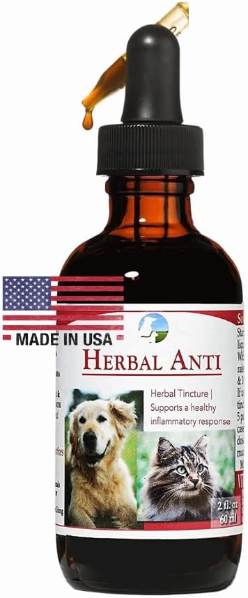 Vitalitetsvetenskap Herbal Anti för katter och hundar | Plant Based | GI Tract + Colon Health Supplement (0,5 oz)