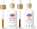 Rainbo Mushroom Bundle, leijonan mane-sieniuute + Chaga-sieni-tinktuuri, Dual Extract Daily-sieni-tinctures for Comprehensive Immune Support, Vegan Liquid Mushroom lisäravinteet