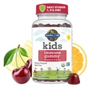 Puutarha Life Kids Immuunit Tuki Gummies kanssa C-vitamiinia, D kuten D3 & Sinkki 3-in-1 Päivittäinen lapsille...