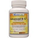 Wonder Laboratories Sublingual B12 (1000 mikrog), B6 (5 mg), Foolihappo(400 mikrog) & Biotiini (25 mikrog) - Formuloitu metyylikobalamiini B-12 (250 tablettia)