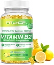 B2-vitamiini Gummies aikuisille ja lapsille - Riboflaviini 400 mg täydennysosa magnesium Glycinate & CoQ10, tuki Migreeni Relief & Hermojärjestelmä, Boost Energy, sokeriton Vegaani B2 Gummies sitruunamaku