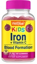 WellYeah Iron Gummies lapsille C-vitamiini - Anemia tuki, Red Blood Cell Formation, Energia, ja Immuniteetti Tuki Gummy, Rauta Lisäravinteet lapsille - GMO vapaa, luonnon rypäleiden maku - 60 Count