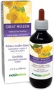 Naturalma Suuri Mullein tai Yhteinen Mullein (Verbascum Thapsus) Kukka ja Lehti Alkoholiton Tincture - 6,76 fl oz Liquid Extract in Drops - Herbal Supplement - Vegan