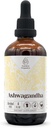 Ashwagandha Alcohol-Free Natural Tincture Extract, Immuunijärjestelmän Booster, Liquid Drops Made from 100% Ashwagandha (Withania somnifera) Kuivattu juuri (4 fl oz)