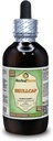 Skullcap (Scutellaria Lateriflora) Glyseriitti, luomukuivattu yrttialkoholiton nesteuute (Brandin nimi: HerbalTerra, ylpeästi valmistettu Yhdysvalloissa) 4 fl.oz (120 ml)