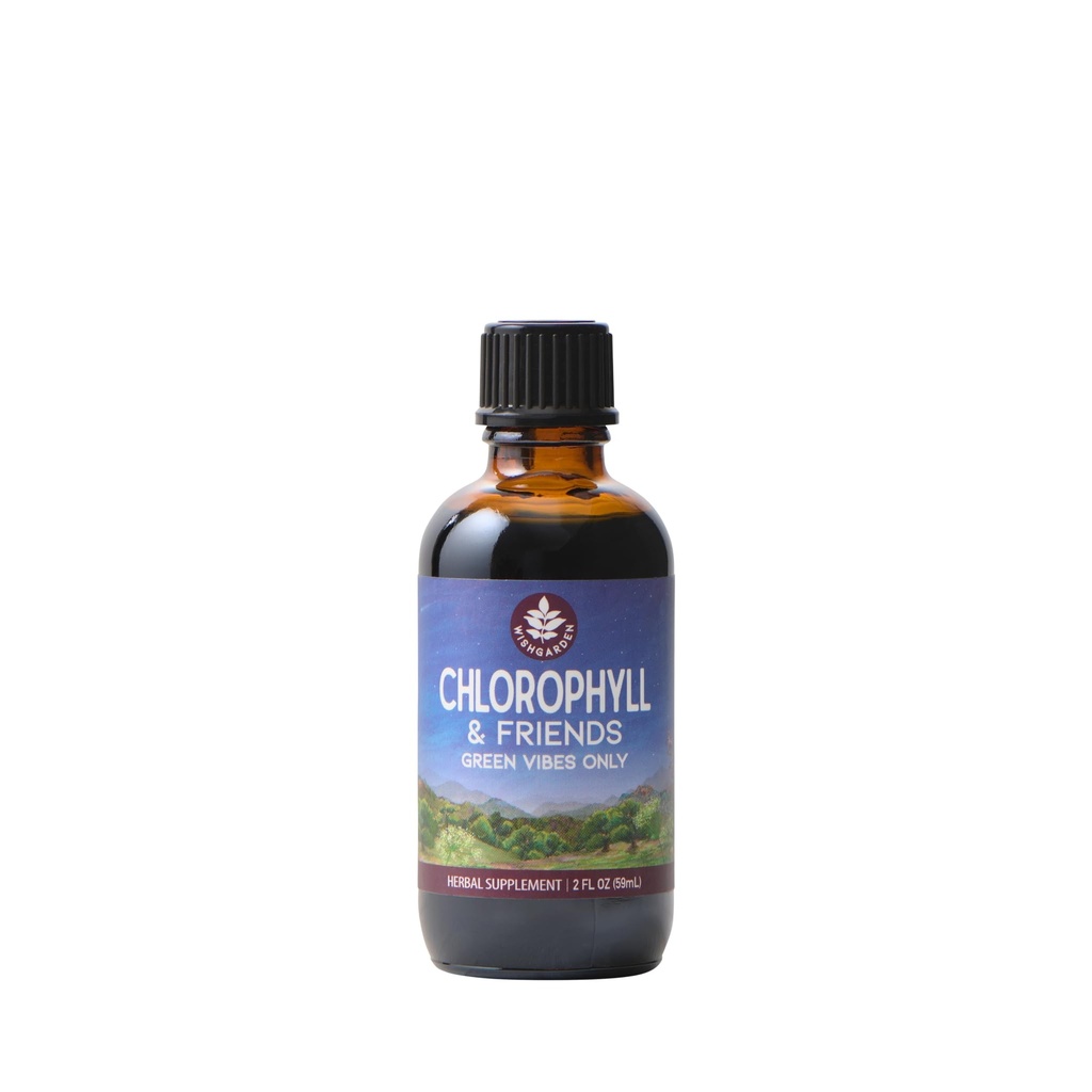 ToivoisinGarden Yrtit klorofylli & Friends - klorofyllin nestemäiset drops Nettle Leaf, Holy Basil, Moringa Leaf & Piparmint Leaf, tukee lisääntynyttä energiaa, terve Immuuni, & stressi vaste, 2oz