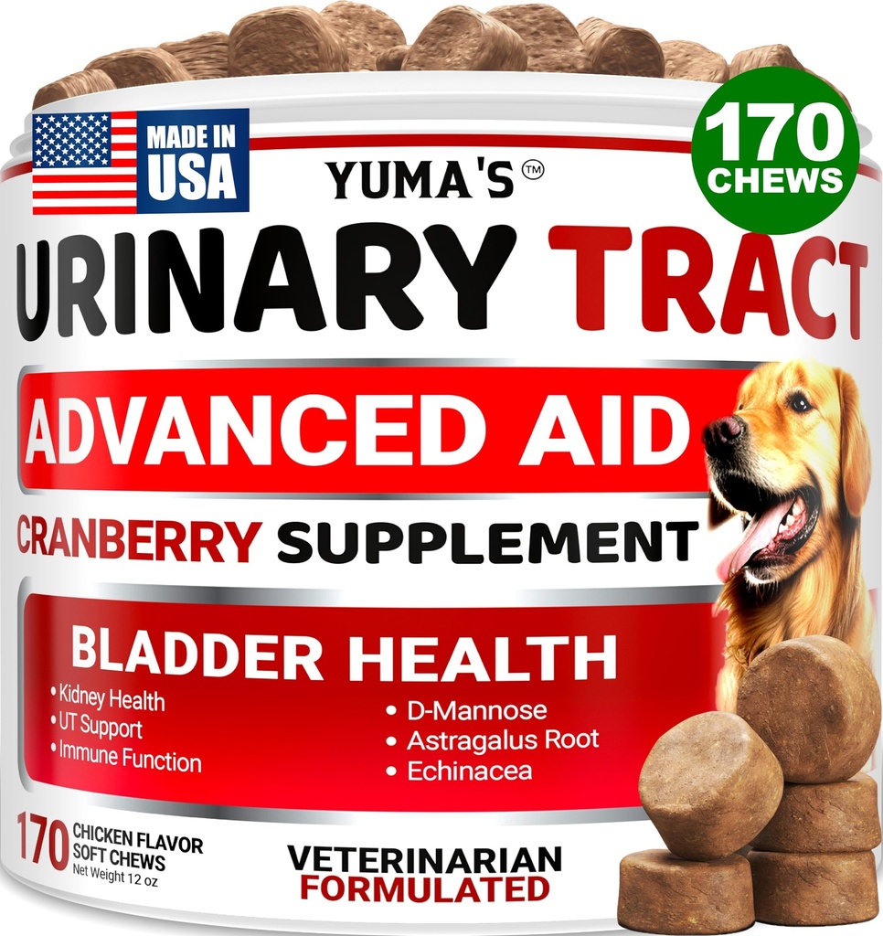 Hund UTI Behandling - 170 Behandlingar - Cranberry Supplement for Dogs - Bladder Control - Urinary Tract Infection Treatment - UTI Medicine Multivitamin - Vitaminer och tillägg - Made in USA