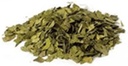 Paras kasvitieteellinen Ginkgo Leaf Leikkaa 16 oz.