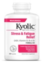 Kyolic Aged valkosipuliuute Formula 101 Stressi ja väsymys helpotus, 300 kapselia.
