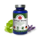 Ginkgo Biloba, muisti, Focus & Brain Function Support, Antioksidantti-Rich, Plant-Baseed, GMP, Herbal Nootropic kasvissyöjä Kapselit, 120 Luku (Pakkaus 1)