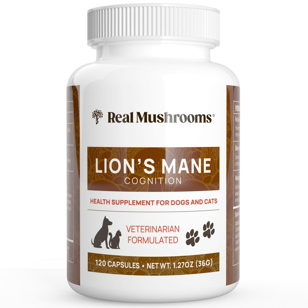 Real Mushrooms Lion's Mane Pet Mushroom Supplement - Pet Wellbeing Capsules - för Cat & Dog Supplement & Vitaminer - Support Mindful Routines - Organic, Vegan, Non-GMO, 120 Count