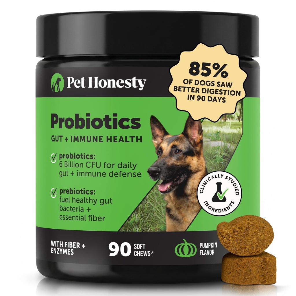 Lemmikki Rehellinen Probiootit koirille satunnaisia ripuli & Bowel tuki, digestiivinen Enzymes prebiootit Gut Health koirille, immuniteetit terveys & kutina helpotus (Pumpkin 90 t)
