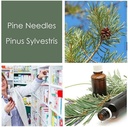 HPDC + Hälsa & Nutrition Pine Needles Natural Liquid Extract Tincture Hög i vitamin C, bioflavonoider, antioxidanter, shikimic Acid (100ml / 3,38 fl oz)