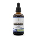 Hemligheter i stammen Muira Puama Tincture Alcohol-Free Liquid Extract, Muira Puama (Ptychopetalum Olacoides) Torkade Bark (4 FL OZ)