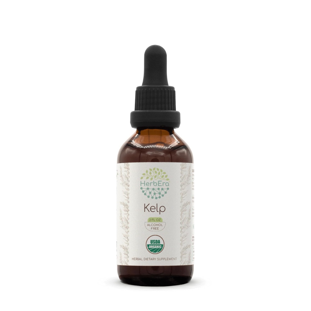 Herbera Kelp B60 USDA Organic Tincture ... Alkoholiton uute, korkeatehoinen kasvirohdos ...