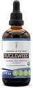 Bugleweed USDA Organic | Alcohol-FREE Extract, High-Potency Herbal Drops, Respiratory System | Tillverkad av 100% Certified Organic Bugleweed (Ze Lan, Lycopus Virginicus) Torkade Herb 4 oz