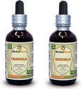 Grindelia (Grindelia Camporum) Tincture, kuivattu Herb Liquid Extract (Brand Name: HerbalTerra, Proudly Made in USA) 2x2 fl.oz (2x60 ml)