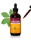Herb Pharm Eleuthero (Siperian Ginseng) juurinesteuutetta energialle ja kestävyydelle, ruokoalkoholi, 4 Ounce