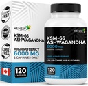 Renew Actives Ashwagandha KSM-66 Supplement 500MG per servering med svartpeppar för överlägsen absorption - Fokus och humörsupport för att öka energi och sömnhjälp - Tillverkad i Kanada - 120 kapslar