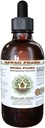 Muira Puama Alkoholiton nesteuute, Organic Muira Puama (Ptychopetalum Olacoides) Glycerite Natural Herbal Supplement, Havaiji Pharm, USA 4 oz