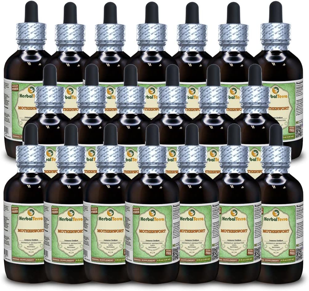 Motherwort (Leonurus Chambrea) Glyseriitti, Luomukuivattu yrtti alkoholiton nesteuute (Brandin nimi: HerbalTerra, ylpeästi valmistettu Yhdysvalloissa) 20x4 fl.oz (20x120 ml)