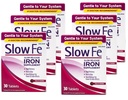 Slow Fe Slow Release Iron, Tabletit 30 ea (Pack of 6)