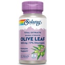 SOLARAY taattu vahvuus Olive Leaf Extract kaksinkertainen vahvuus, Veg Cap (Btl-Plastic) 500mg ... 30ct