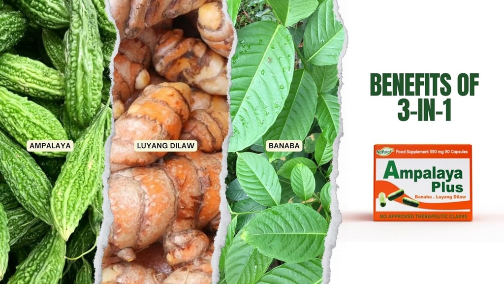 Ampalaya Plus 550mg 90 kapselia - Pakkaus 1 - kanssa Banaba, Turmeric Ginger ja Bitter Melon Ampalaya Plus - Halal Herbal Supllements