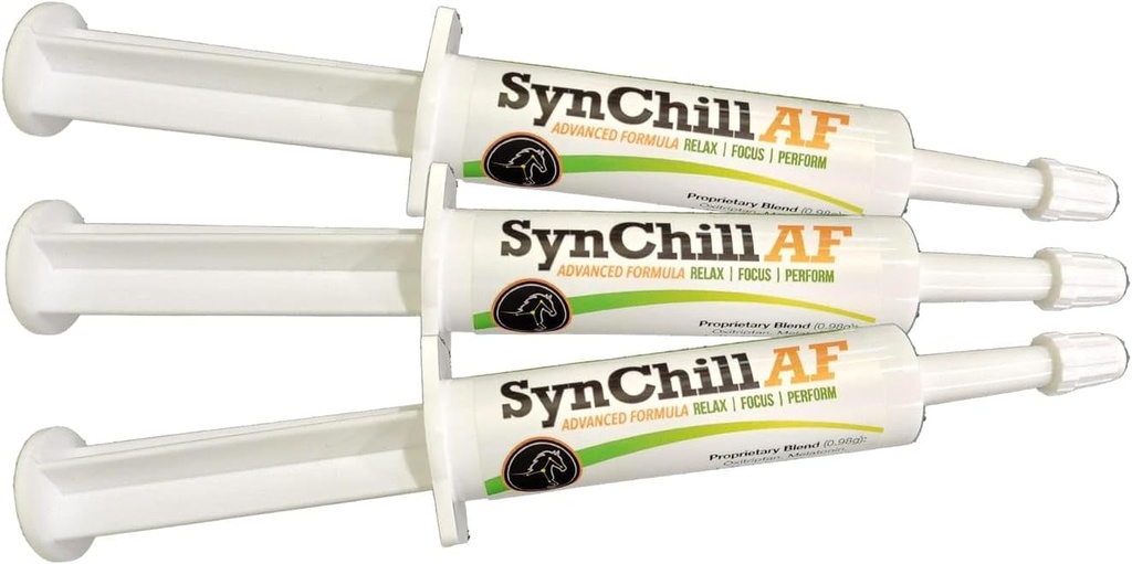 SynChill AF Calming Gel hermoston hevonen - yksi tarjoilu - Advanced Formula L-Theanine, lisääntynyt potenssi, 100% Natural Supplement, Disposition & Confidence Tuki hevosille - 3 Pack