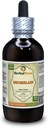 Bromelain (Anas Comosus) Tinkture, kuivattu jauhe nesteuute (Brand Name: HerbalTerra, Proudly Made in USA) 4 fl.oz (120 ml)