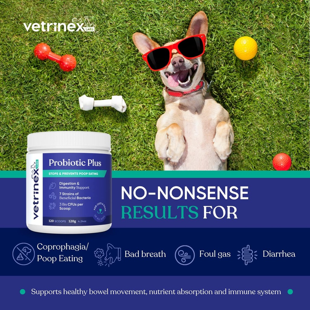 Coprophagia Poop Äta Avskräckande & Förebyggande, Sluta & Förhindra Stool Ätbehandling - Probiotika för hundar, katter och valpar - Förbjuder hund från att äta Poop - Probiotisk pulver (120 GMS)