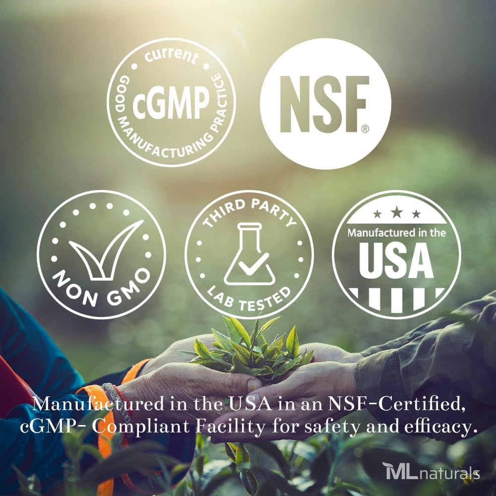ML Naturals Sienet Complex 120 Vihanneskapselit. 6 Essential Sienet: Organic Reishi, Leijonan mane, Cordyceps, Terve Immuuni tuki, NSF-sertifioitu & cGMP-Compliant.