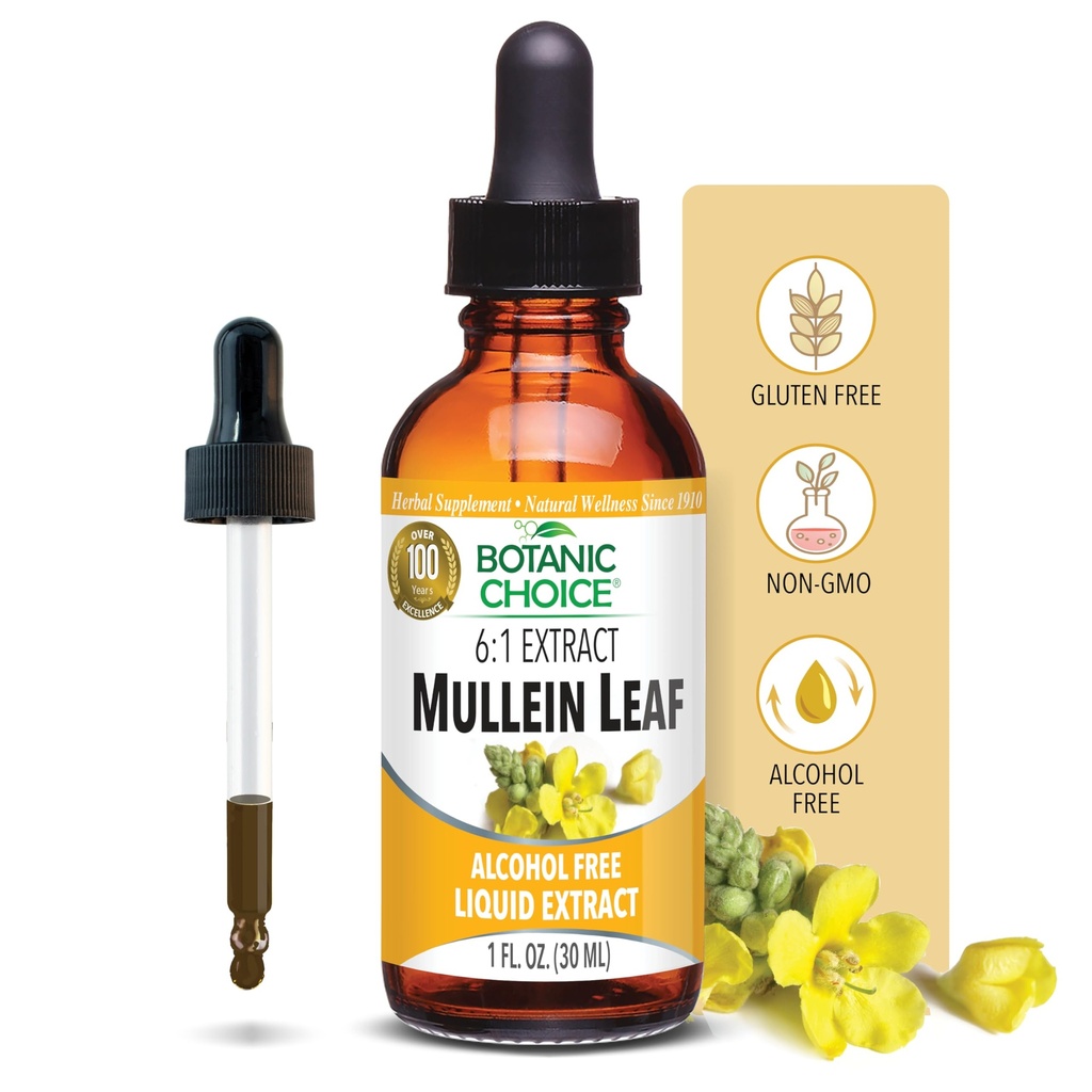 Kasvitieteellinen valinta Mullein Leaf Liquid Extract, alkoholiton, gluteeniton, perinteinen hengitysteiden tuki 1 Fl. Oz.
