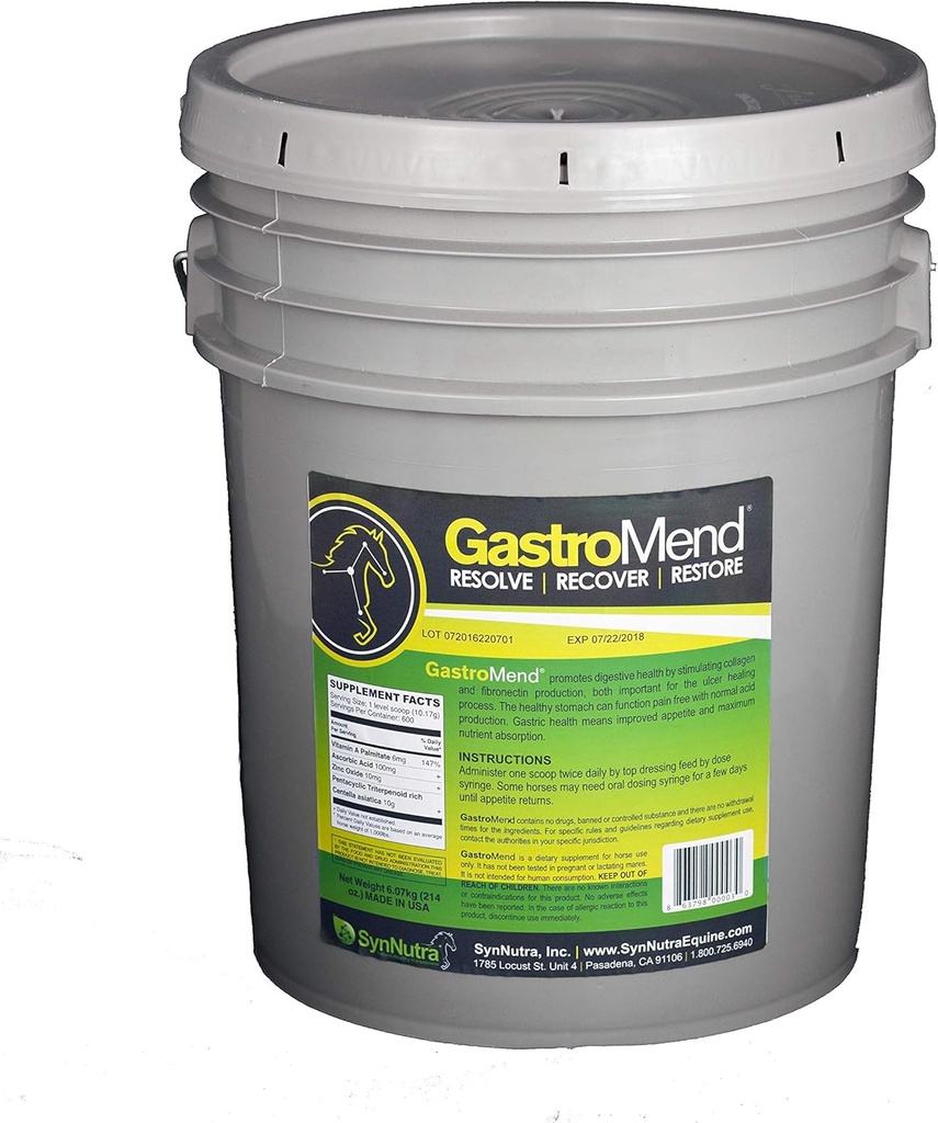 SynNutra GastroMend (GastroMend - 600 annosta Bucket) 100% Luonnollinen