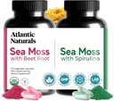 Atlantic Naturals Sea Moss Superfood Bundle - Sea Moss med Beet Root & Spirulina Capsules - Försvarsstöd, Blodflöde, gemensam hälsa och järn - 240 kapslar (2 x 120 ct)
