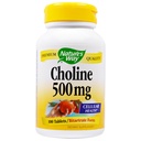 NATURE'S WAY Choline 500mg 100 tabletter