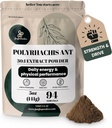 Jungle Powders Black Ant Extract Powder 30:1 Keskittyminen, 94 Tarjoilut - 5 Ounces of Pure Polyrhachis Black Ant Supplement, Filler Free Changbai Mountain Ant Perinteiset Miesten Terveys Tuki Drive