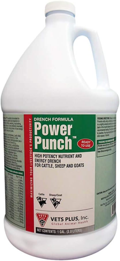 Eläinlääkärit Plus Power Punch, Energy Drench, Gallon