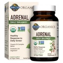 Elämänpuutarha Organics Adrenal Daily Balance, Adaptogenic Yrtit Ashwagandha, Holy Basil, B Complex & Probiootit, Organic Non-GMO, Vegan, Gluteeniton Supplement, Kahden kuukauden toimitus, 120 tablettia