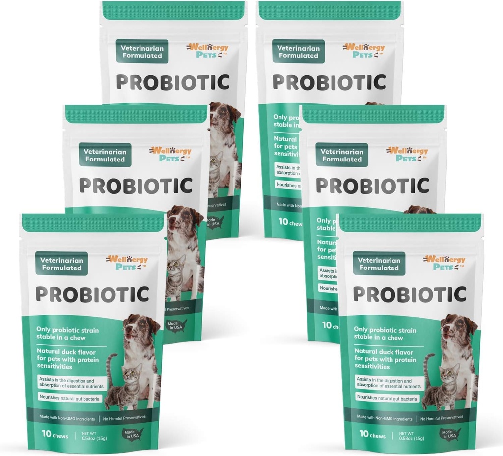 Wellnergy Daily Probiootit & Prebiootit Soft Chew koirille & Kissat - Ruoansulatuskanavan tuki ripuli, ummetus, vatsavaivat, ruoansulatushäiriöt ja kaasu - auttaa digestio, allergia iho ja immuuni terveys 60ct