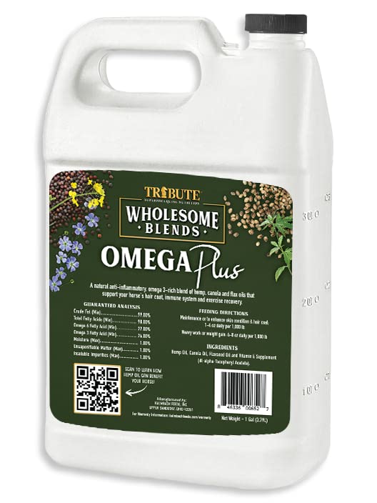 Terveellinen Blends Omega Plus öljy täydentää hevosille, 1 Gallon