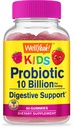 WellYeah Probiootit lapsille Gummies -10 miljardia PMY - for Gut Health, Immuno Health and Digestive Support - Berry Flavor Chewable Supplement - Vegan, Non GMO, Gluteenittomat lapset Probiootti -60 Gummies