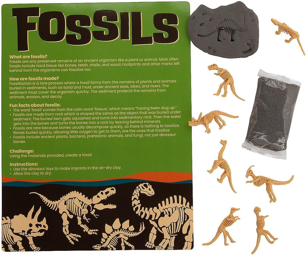 Fun Express gör din egen Fossil Craft Kit - gör 12
