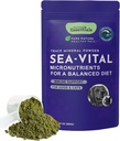 Animal Essentials Ocean Kelp koirille ja kissoille - Kilpirauhasen tuki, Kilpirauhasen täydentää, Sea Kelp, Kelp Powder, Trace Mineral Supplement - 24 Oz