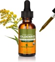 Herb Pharm Certified Organic Goldenrod Liquid Extract virtsajärjestelmä tukea, 1 Fl Oz (Pakki 1)